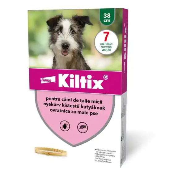 Kiltix nyakörv kistestu kutyáknak AUV Kihagyhatatlan ajánlat