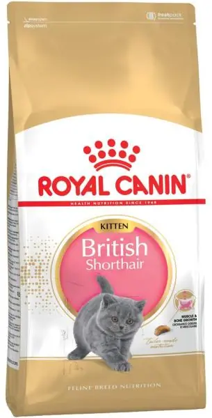 Royal Canin British Shorthair Kitten Árcsökkenés