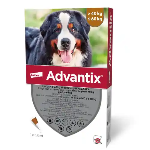 Advantix spot on 6 ml 40-60 kg Biztonságos vásárlás