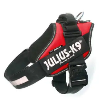 Gyors szállítás Julius-K9 IDC Powerhám, felirattal, Piros