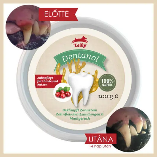 Leiky Dentanol 100% természetes fogkő, fogínygyulladás és szájszag elleni por 100 g Outlet