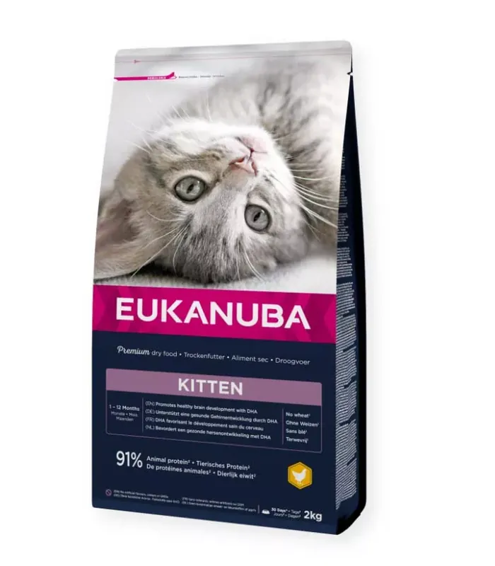 Eukanuba száraz macskaeledel kitten csirke 10kg Expressz kézbesítés