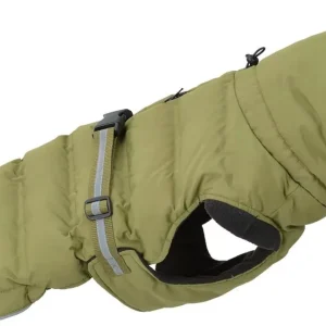 Vedd meg most AniOne Delia kutya télikabát zöld 48cm