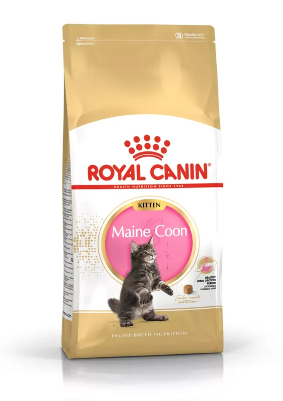 Royal Canin Feline Breed Nutrition Maine Coon kitten száraz macskaeledel 2kg Utolsó esély