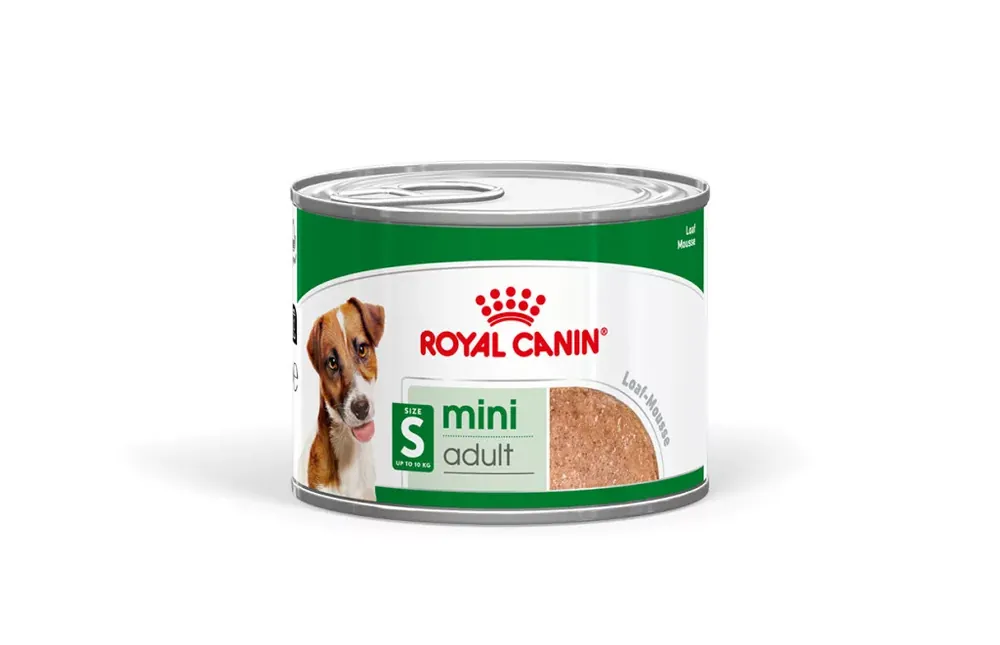 Végkiárusítás Royal Canin konzerv mini adult nedves kutyaeledel 12x195g