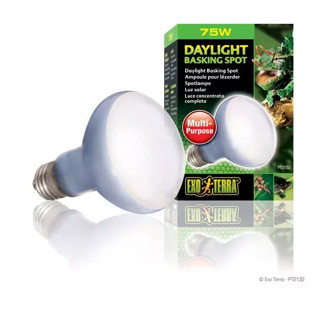 Szuper akció ExoTerra fénycső terráriumba SunGlo 75W spot izzó
