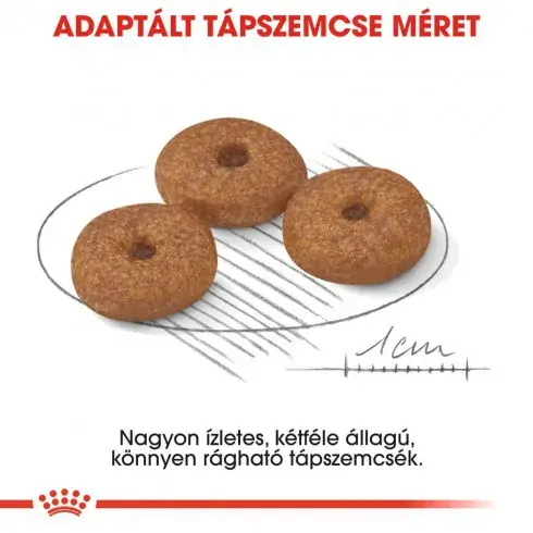 Akció Royal Canin Mini Ageing 12+ 800g-kistestű idős kutya száraz táp