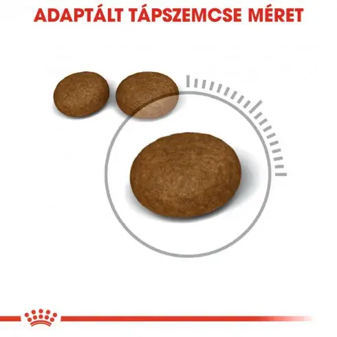 Royal Canin Hair & skin Care - száraz táp felnőtt macskáknak az egészségesebb szőrért és bőrért Szuper ajánlat