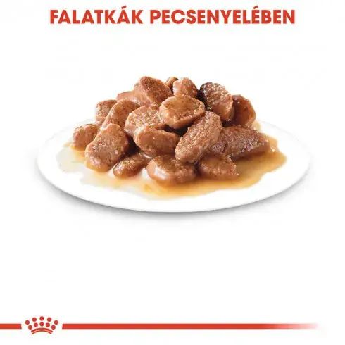 Royal Canin Urinary Care 12x85g - nedves táp felnőtt macskáknak hugyúti problémák megelőzéséért Árcsökkenés
