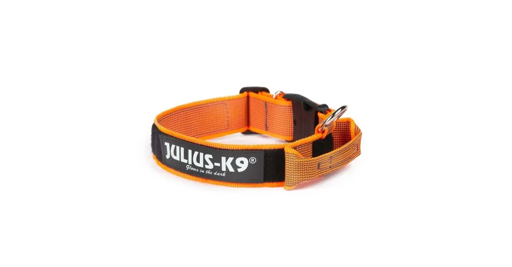 Olcsó Julius k9 Biztonsági zárral ellátott nyakörv fogantyúval és cserélhető felirattal 50mm/49-70 Narancs-Szürke