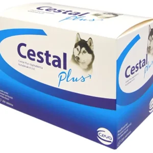 Legnépszerűbb Cestal Plus Rágótabletta 2 x