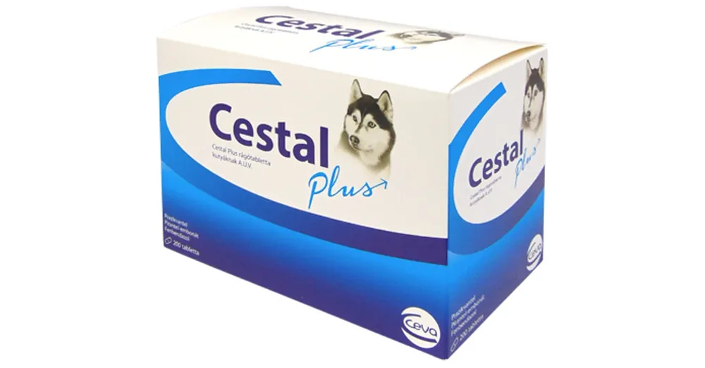 Legnépszerűbb Cestal Plus Rágótabletta 2 x