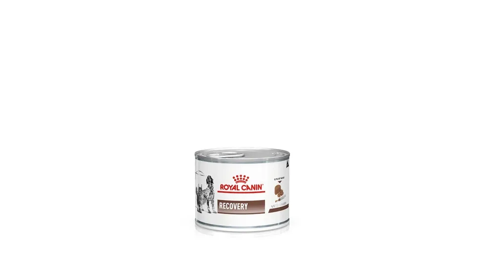 Rendeld meg most Royal Canin Recovery 12x195g