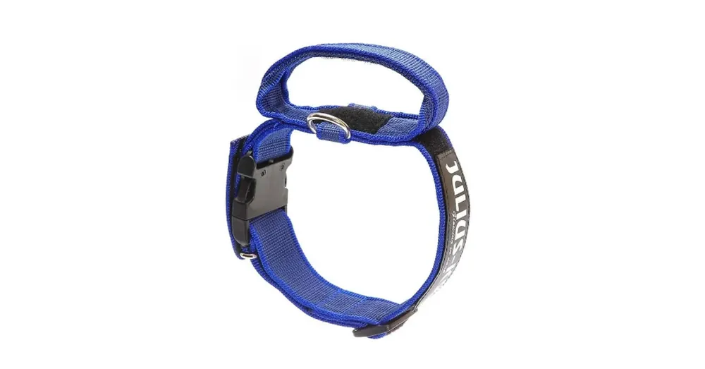 Olcsó Julius k9 Biztonsági zárral ellátott nyakörv fogantyúval és cserélhető felirattal 50mm/49-70 Kék-Szürke