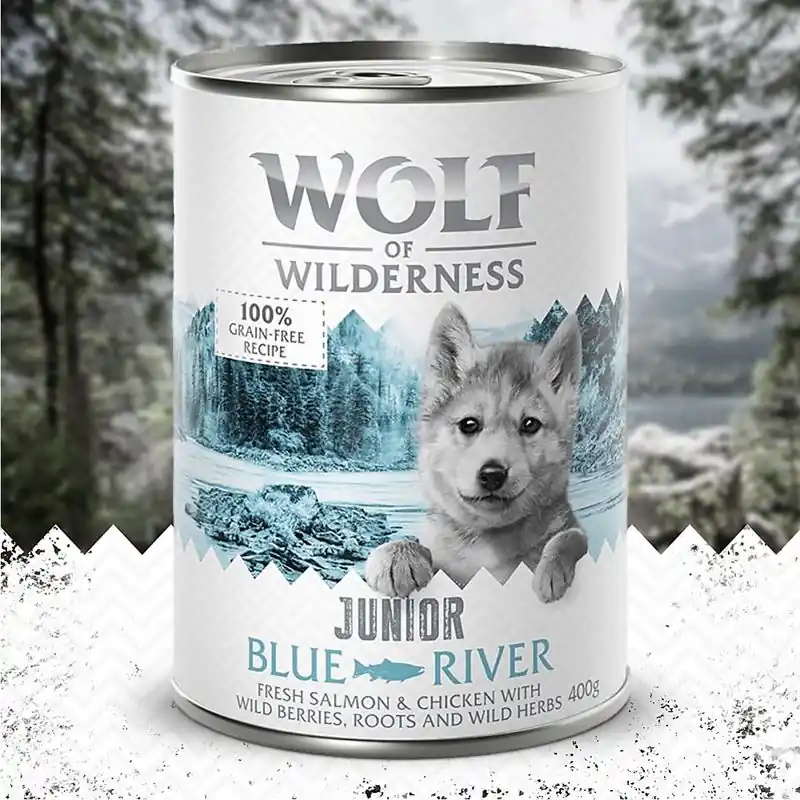 Népszerű Wolf of Wilderness JUNIOR 6 x 400 g