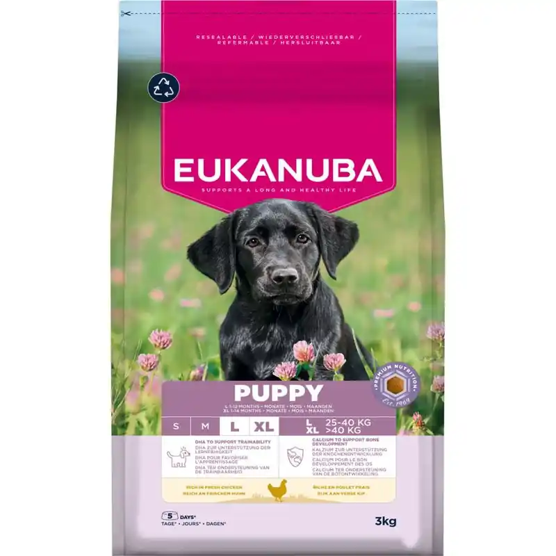 Különleges ajánlat Eukanuba Premium Nutrition Puppy Large & Giant Breed csirke