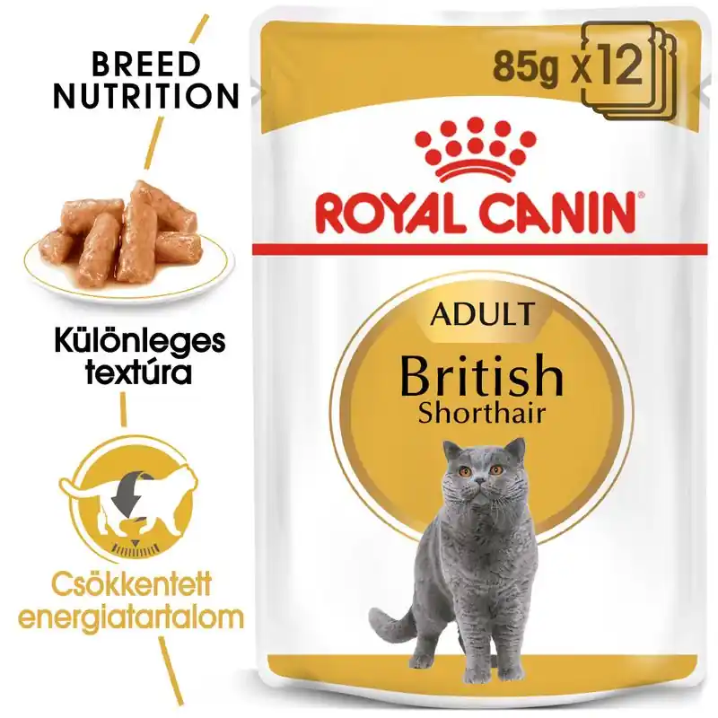 Legjobb ár Royal Canin British Shorthair Adult szószban