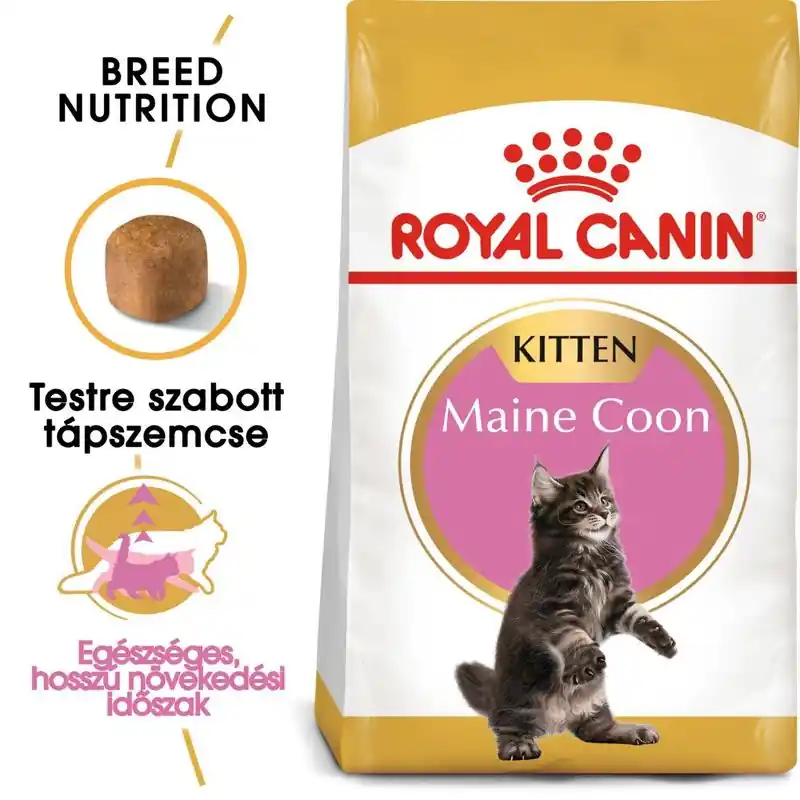 Kiárusítás Royal Canin Maine Coon Kitten