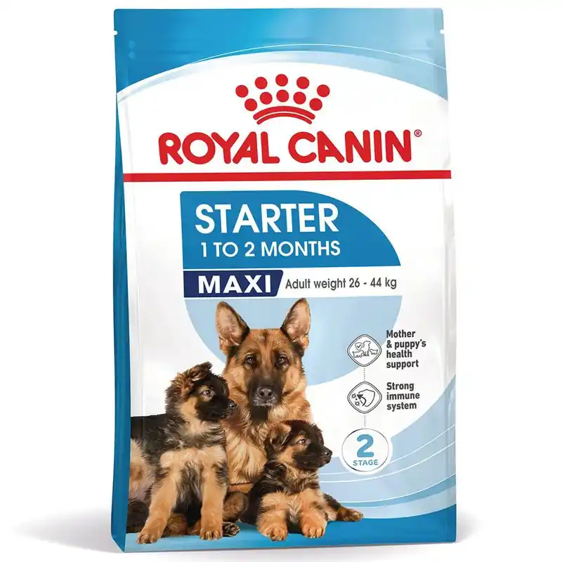 Royal Canin Maxi Starter Mother & Babydog Azonnal elérhető