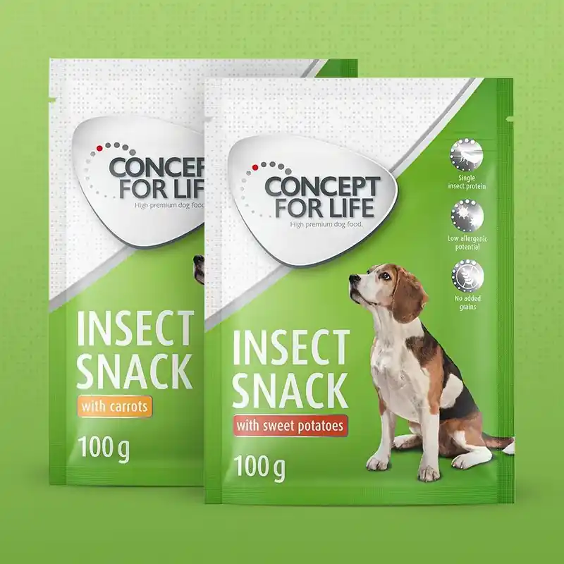 Expressz szállítás Concept for Life Insect snack