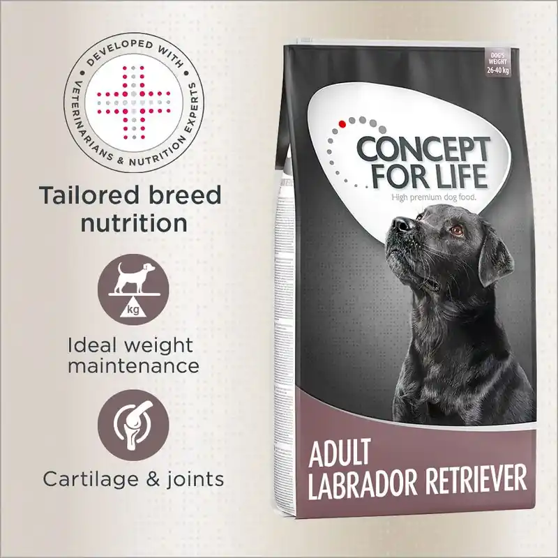 Ajánlat Concept for Life Labrador Retriever Adult