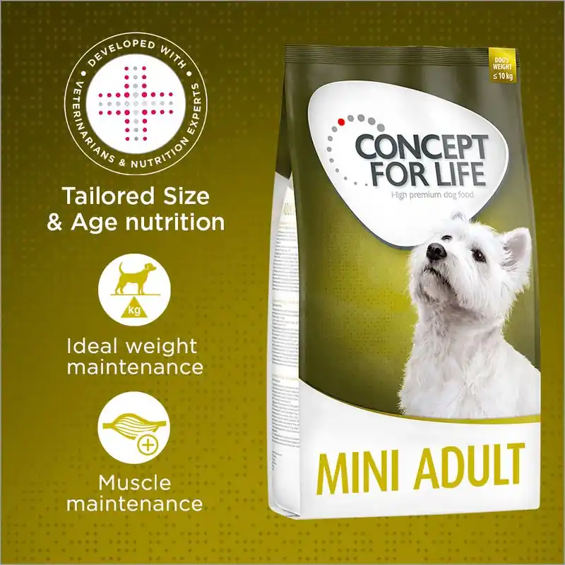 Legkelendőbb Concept for Life Mini Adult