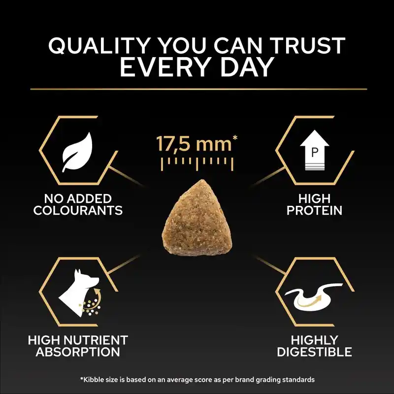 PURINA PRO PLAN Medium Adult Everyday Nutrition Árengedmény