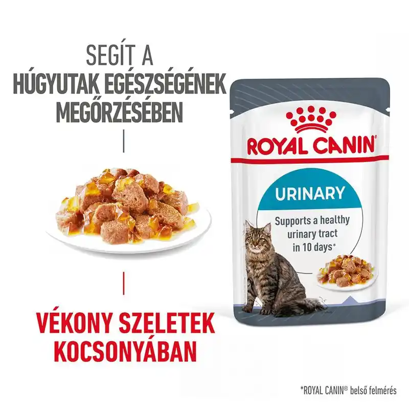 Royal Canin FCN Urinary Care aszpikban Azonnal elérhető
