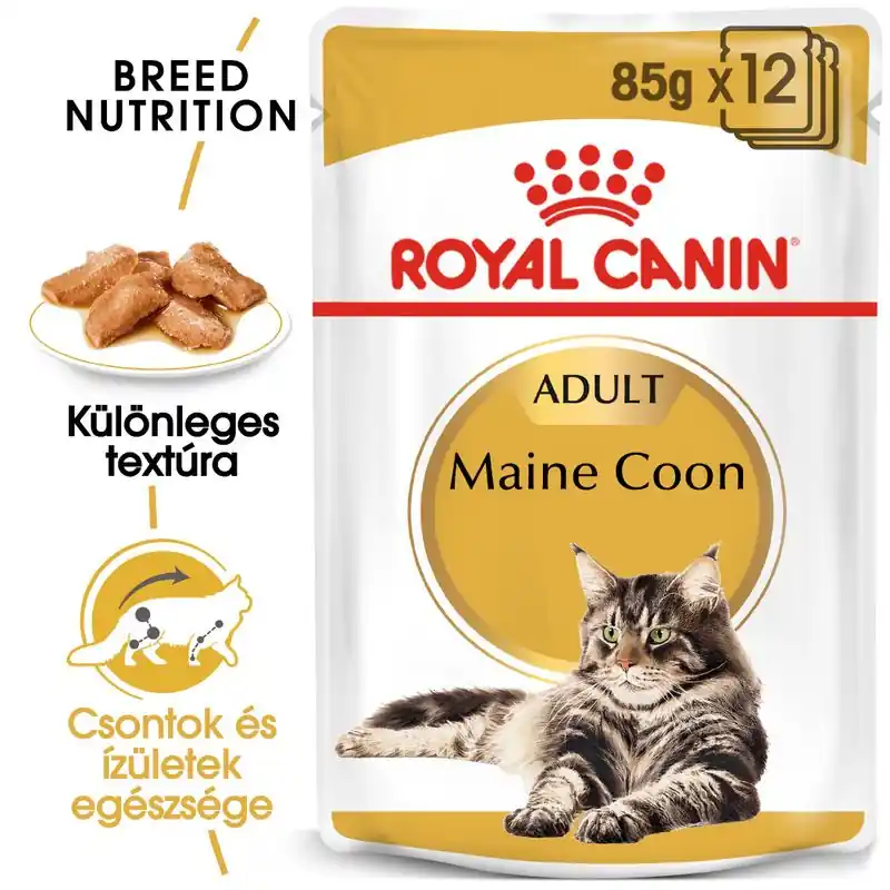 Ajánlat Royal Canin Maine Coon Adult szószban