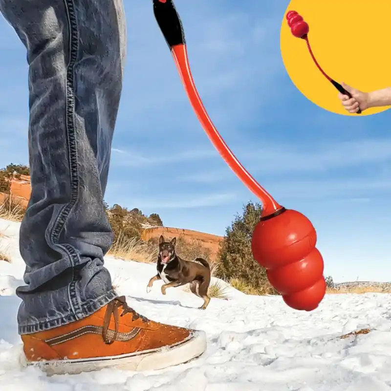 KONG Signature Throw kutyajáték Vedd meg online