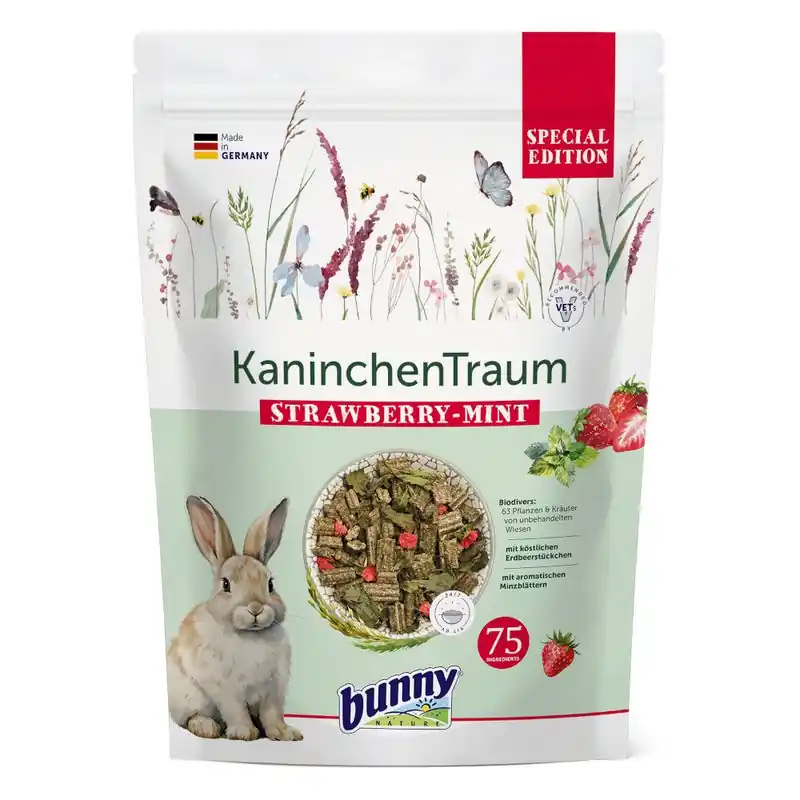 bunny RabbitDream Special Edition eper-menta Vedd meg online