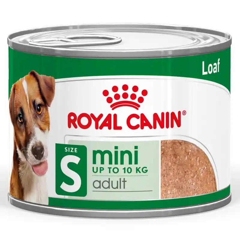 Kihagyhatatlan ajánlat Royal Canin Mini Adult Mousse
