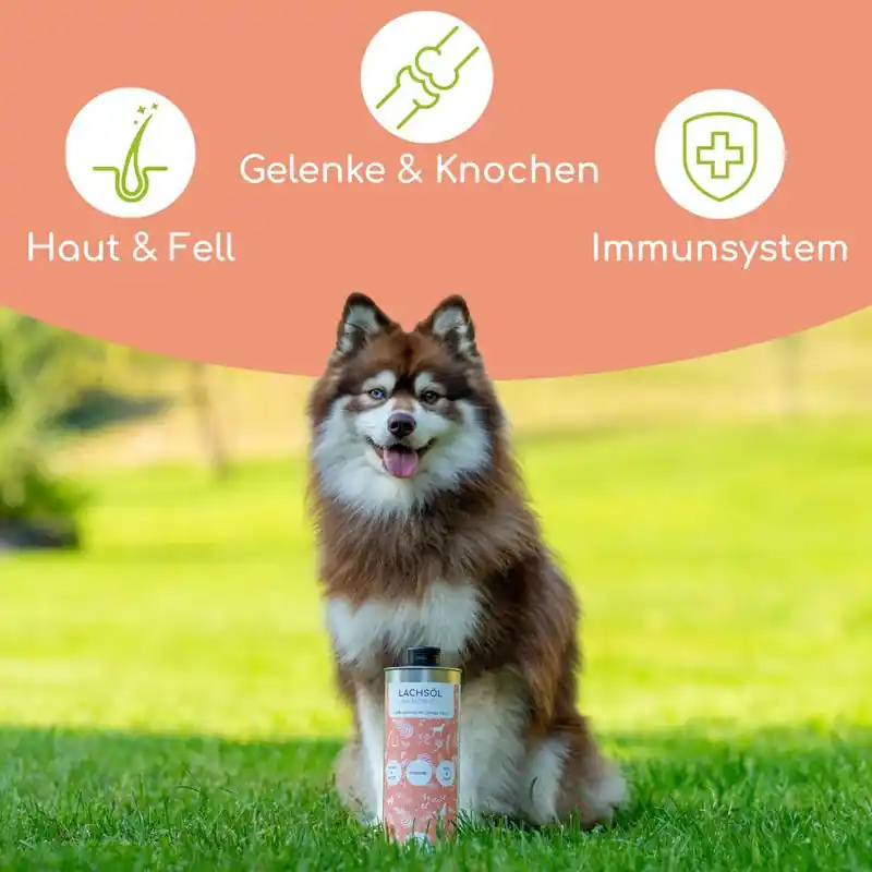 Gyors szállítás Wolfsbacher Natur lazacolaj kutyáknak