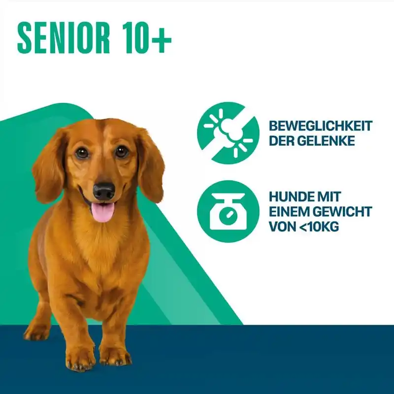 Perfect Fit Senior Dogs (<10kg) Azonnal elérhető