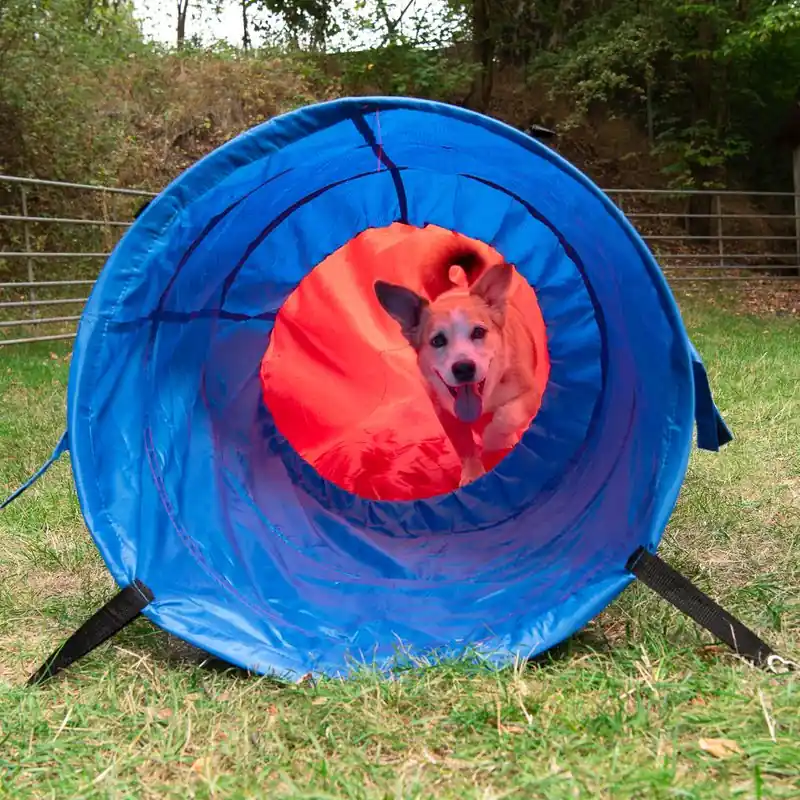 Agility Fun & Sport - alagút kutyáknak Akciós ár