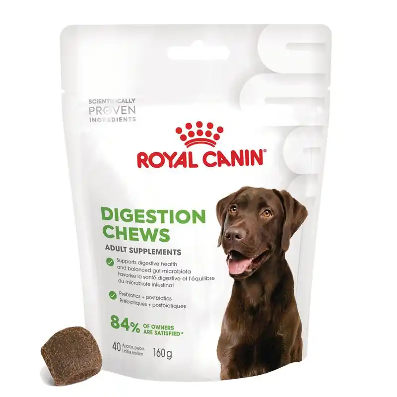 Korlátozott ajánlat Royal Canin Digestion Adult Supplement