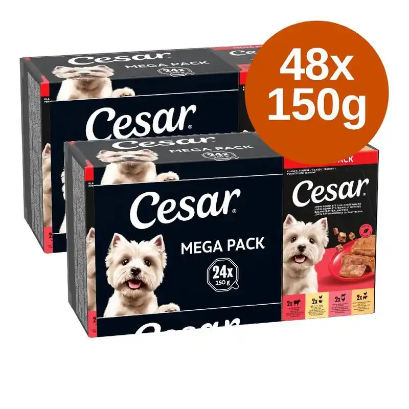 Árengedmény Cesar tálcás vegyes gazdaságos csomag 48 x 150 g