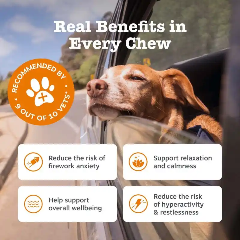 Zesty Paws Calming Chews pulyka Kedvezményes ár