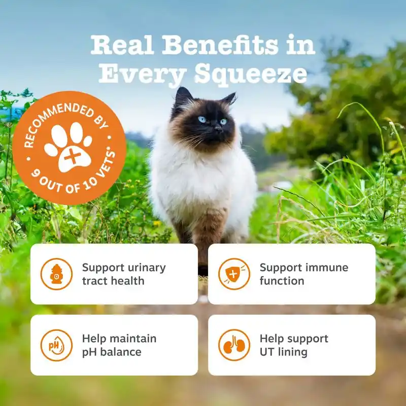 Utolsó esély Zesty Paws Cat Urinary Care paszta