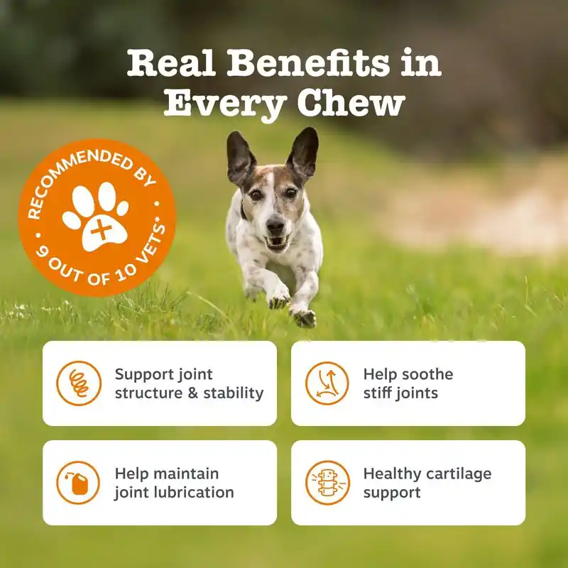 Legkelendőbb Zesty Paws Hip & Joint Chews pulyka