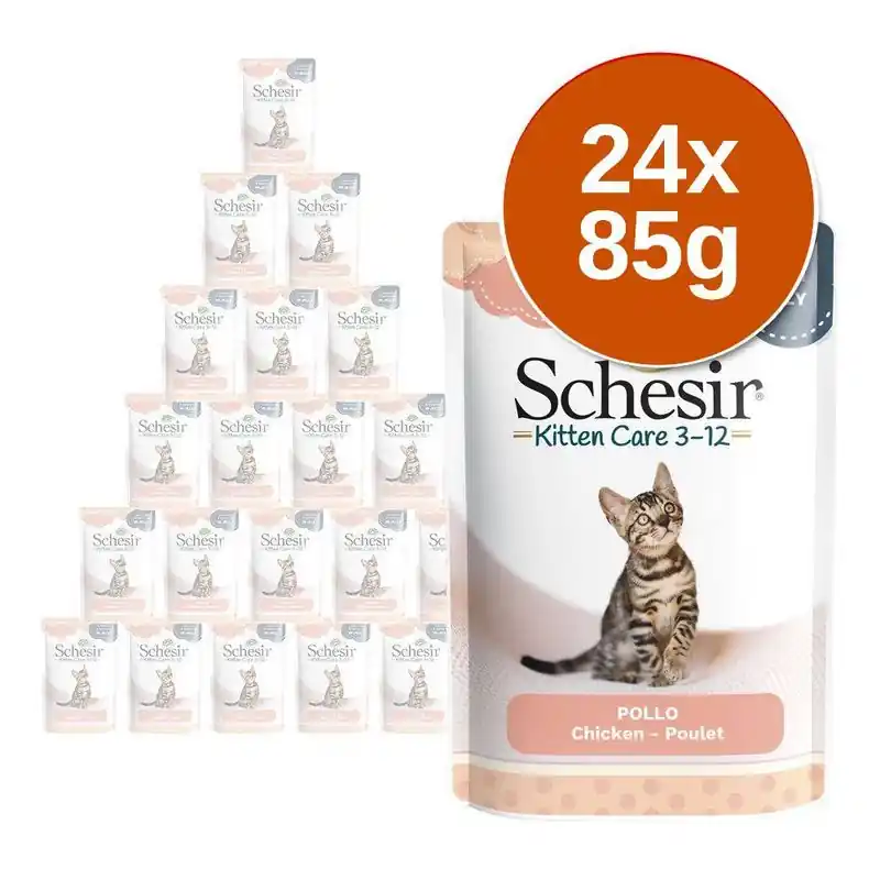 Expressz kézbesítés Schesir aszpikban tasakos gazdaságos csomag 24 x 85 g