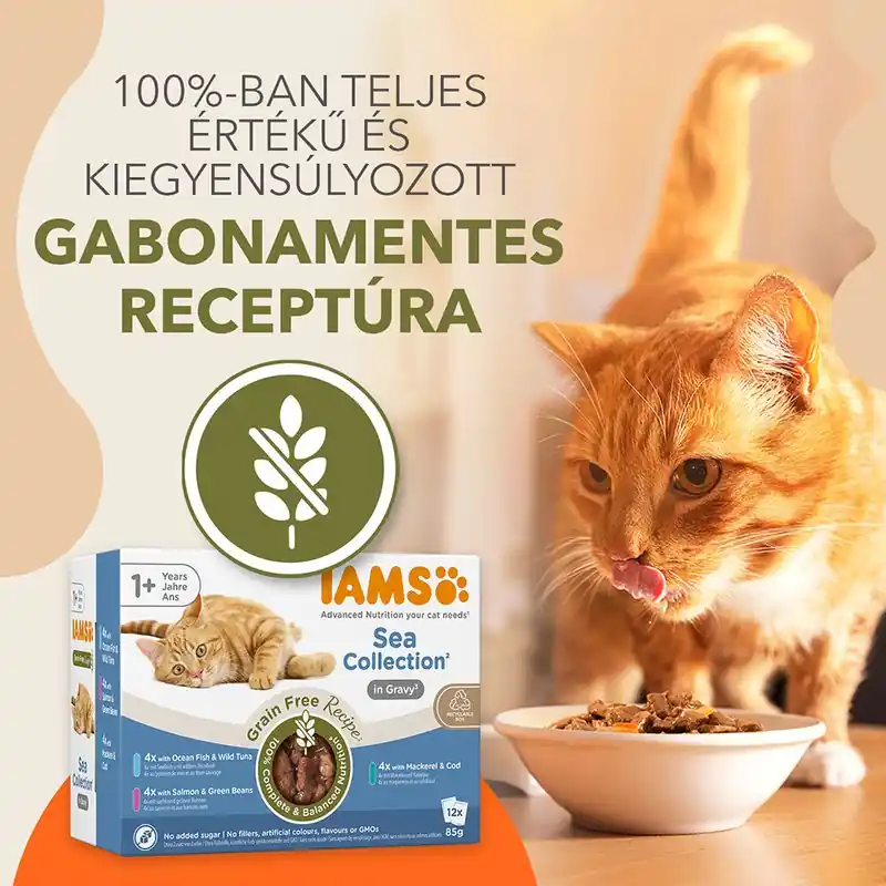 IAMS Advanced Nutrition Grain Free Sea Collection szószban Szezonális akció