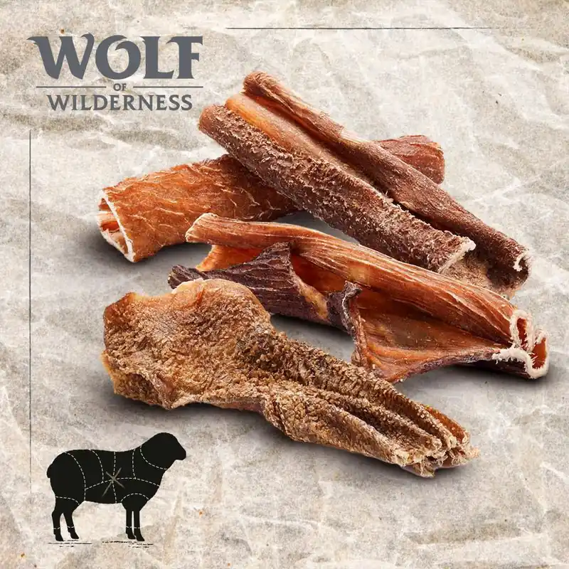Kiárusítás Wolf of Wilderness "Green Fields" báránypacal
