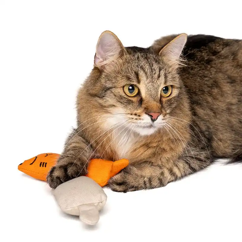 zooplus Basics Kitty macskamentás macskajátékszett Vedd meg online