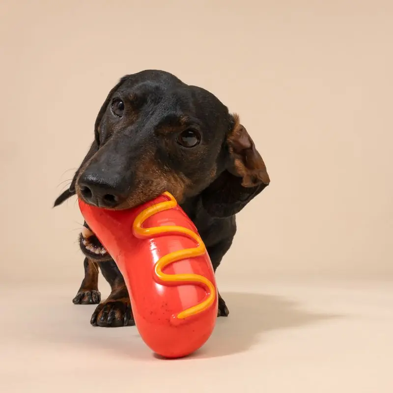 Kiárusítás TIAKI hot dog ultraerős rágójáték