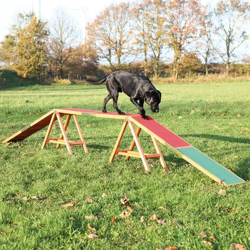 Trixie Dog Activity Agility palló Ne maradj le