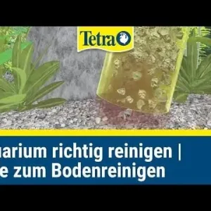 Tetra GC 50 Gravel Cleaner - aljzattisztító Biztonságos vásárlás