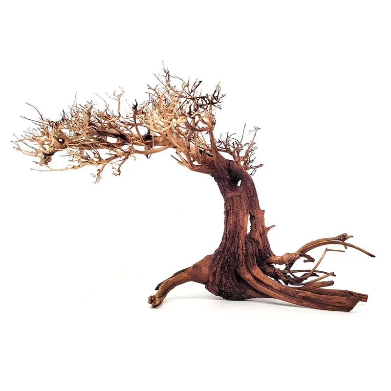 Wio Bonsai fa M Újdonság