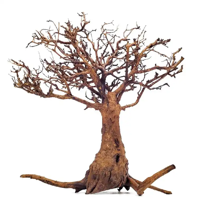 Outlet Wio Tree fa M