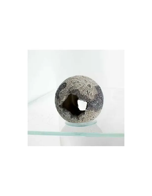 ÉGITEST akvárium-terrárium dekoráció 6x6x6,5cm (39279) Legjobb ár